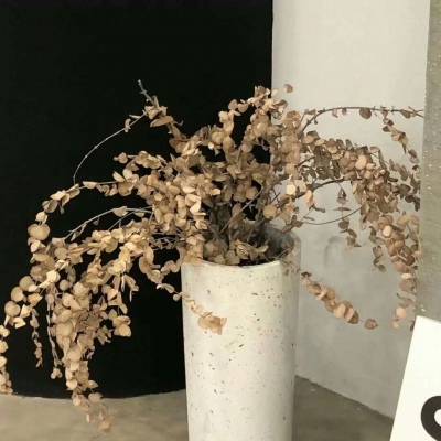 Furry绘画笔刷推荐兽圈群